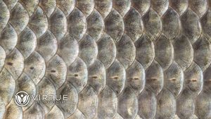 What is Fish Scale Cocaine Risks Dangers