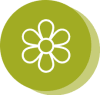 image-50-minpng